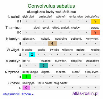 ekologiczne liczby wskaźnikowe Convolvulus sabatius (powój mauretański)