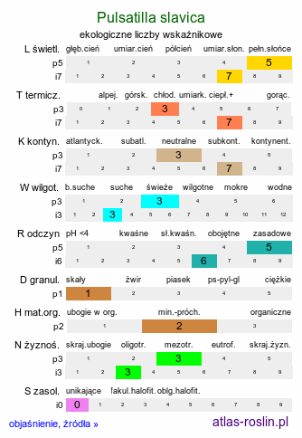 ekologiczne liczby wskaźnikowe Pulsatilla slavica (sasanka słowacka)