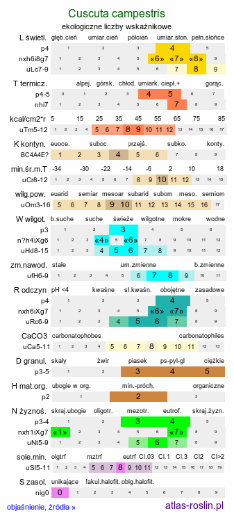 ekologiczne liczby wskaźnikowe Cuscuta campestris (kanianka polna)