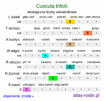 ekologiczne liczby wskaźnikowe Cuscuta trifolii (kanianka koniczynowa)