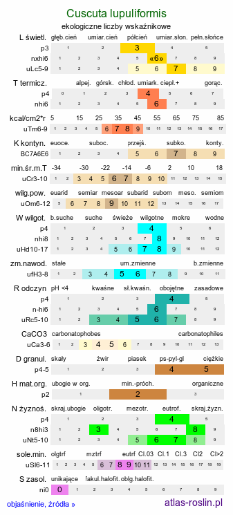 ekologiczne liczby wskaźnikowe Cuscuta lupuliformis (kanianka wielka)