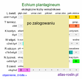 ekologiczne liczby wskaźnikowe Echium plantagineum (żmijowiec babkowaty)