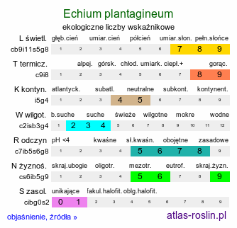 ekologiczne liczby wskaźnikowe Echium plantagineum (żmijowiec babkowaty)