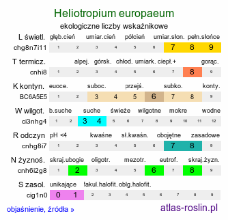 ekologiczne liczby wskaźnikowe Heliotropium europaeum (heliotrop zwyczajny)