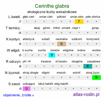 ekologiczne liczby wskaźnikowe Cerinthe glabra (ośmiał alpejski)