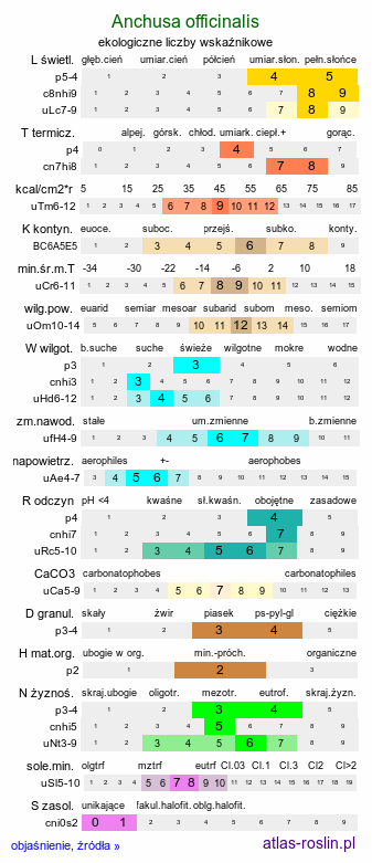 ekologiczne liczby wskaźnikowe Anchusa officinalis (farbownik lekarski)