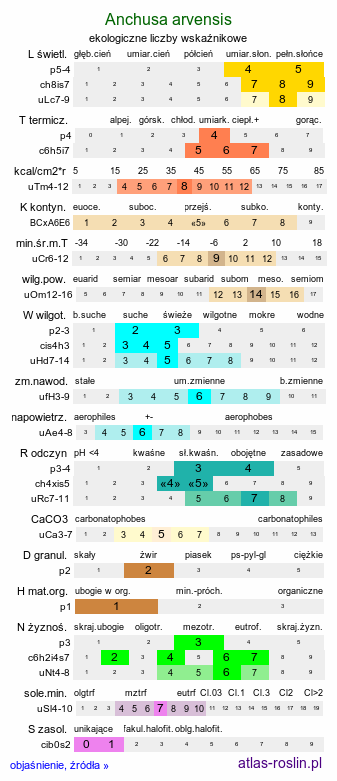 ekologiczne liczby wskaźnikowe Anchusa arvensis (farbownik polny)