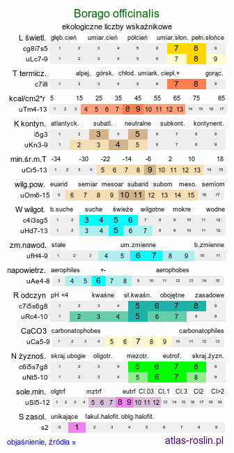 ekologiczne liczby wskaźnikowe Borago officinalis (ogórecznik lekarski)