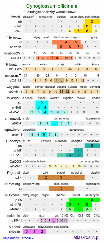 ekologiczne liczby wskaźnikowe Cynoglossum officinale (ostrzeń pospolity)