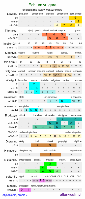 ekologiczne liczby wskaźnikowe Echium vulgare (żmijowiec zwyczajny)
