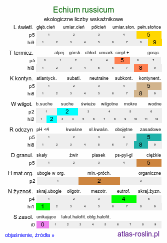 ekologiczne liczby wskaźnikowe Echium russicum (żmijowiec czerwony)