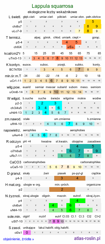 ekologiczne liczby wskaźnikowe Lappula squarrosa (lepnik zwyczajny)