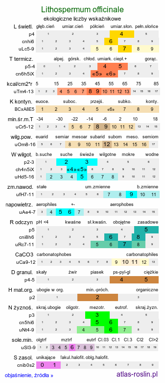 ekologiczne liczby wskaźnikowe Lithospermum officinale (nawrot lekarski)