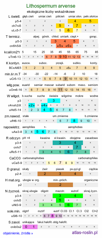 ekologiczne liczby wskaźnikowe Lithospermum arvense (nawrot polny)