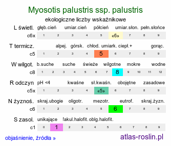 ekologiczne liczby wskaźnikowe Myosotis palustris ssp. palustris (niezapominajka błotna typowa)