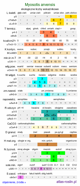 ekologiczne liczby wskaźnikowe Myosotis arvensis (niezapominajka polna)