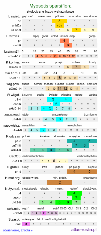 ekologiczne liczby wskaźnikowe Myosotis sparsiflora (niezapominajka skąpokwiatowa)