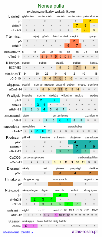 ekologiczne liczby wskaźnikowe Nonea pulla (zapłonka brunatna)