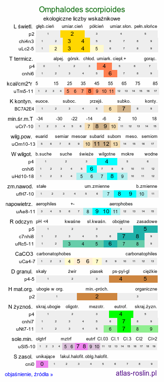 ekologiczne liczby wskaźnikowe Omphalodes scorpioides (ułudka leśna)