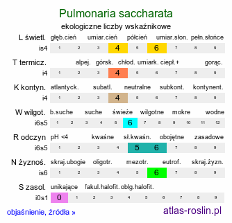 ekologiczne liczby wskaźnikowe Pulmonaria saccharata (miodunka pstra)