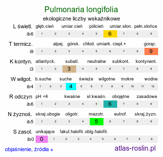 ekologiczne liczby wskaźnikowe Pulmonaria longifolia (miodunka długolistna)