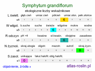 ekologiczne liczby wskaźnikowe Symphytum grandiflorum (żywokost wielkokwiatowy)