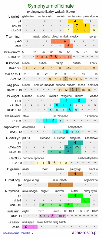 ekologiczne liczby wskaźnikowe Symphytum officinale (żywokost lekarski)