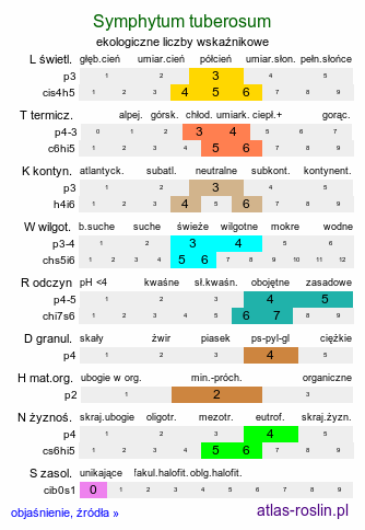 ekologiczne liczby wskaźnikowe Symphytum tuberosum (żywokost bulwiasty)