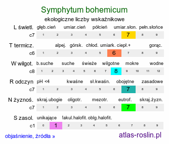 ekologiczne liczby wskaźnikowe Symphytum bohemicum (żywokost czeski)