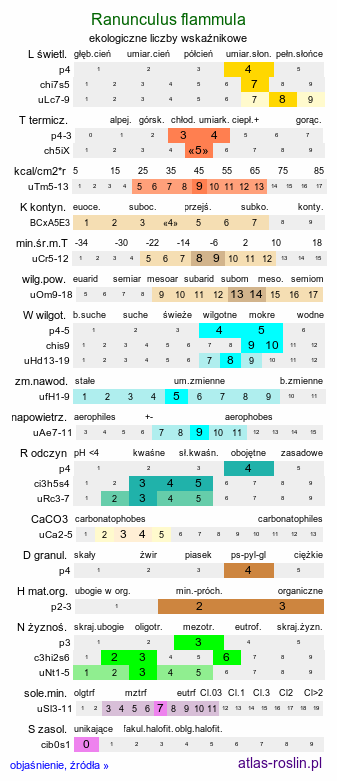 ekologiczne liczby wskaźnikowe Ranunculus flammula (jaskier płomiennik)