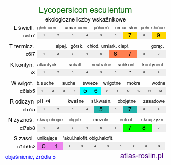 ekologiczne liczby wskaźnikowe Lycopersicon esculentum (pomidor zwyczajny)