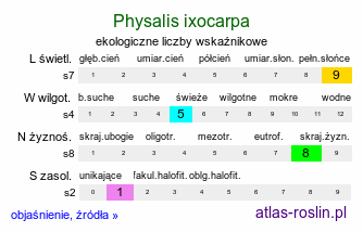 ekologiczne liczby wskaźnikowe Physalis ixocarpa (miechunka pomidorowa)