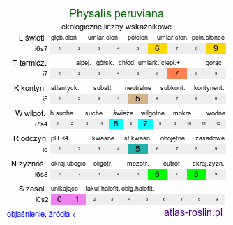 ekologiczne liczby wskaźnikowe Physalis peruviana (miechunka peruwiańska)