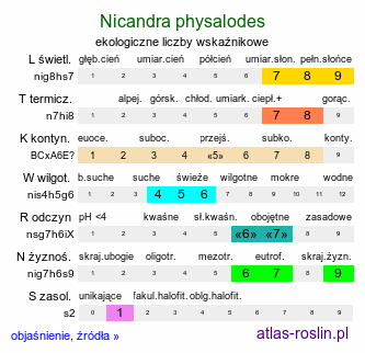 ekologiczne liczby wskaźnikowe Nicandra physalodes (nikandra miechunkowa)