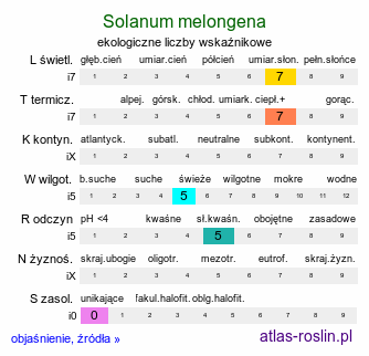 ekologiczne liczby wskaźnikowe Solanum melongena (oberżyna)