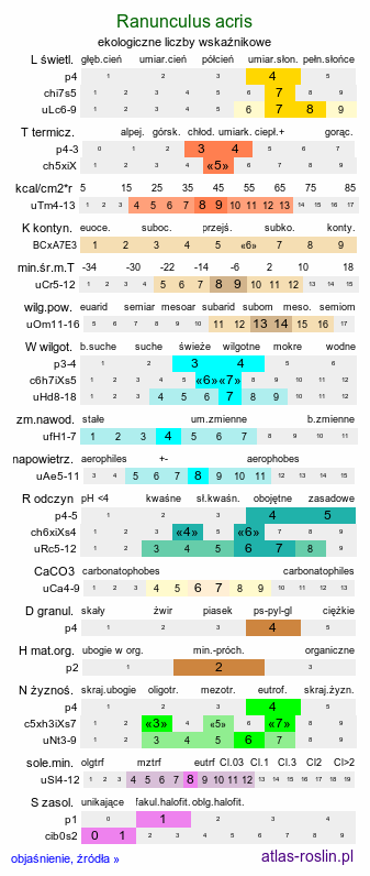 ekologiczne liczby wskaźnikowe Ranunculus acris (jaskier ostry)