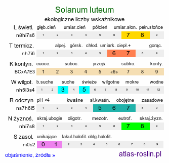 ekologiczne liczby wskaźnikowe Solanum luteum (psianka kosmata)