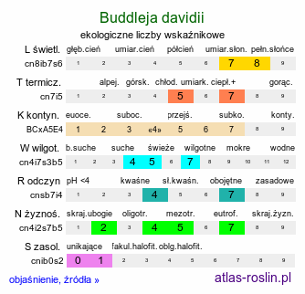 ekologiczne liczby wskaźnikowe Buddleja davidii (buddleja Davida)