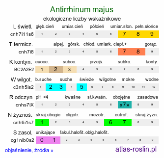 ekologiczne liczby wskaźnikowe Antirrhinum majus (wyżlin większy)