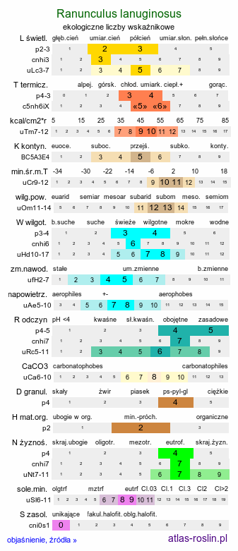 ekologiczne liczby wskaźnikowe Ranunculus lanuginosus (jaskier kosmaty)