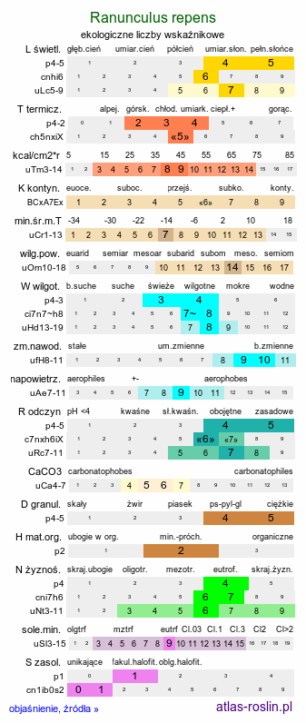 ekologiczne liczby wskaźnikowe Ranunculus repens (jaskier rozłogowy)