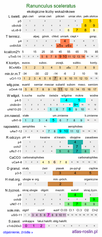 ekologiczne liczby wskaźnikowe Ranunculus sceleratus (jaskier jadowity)