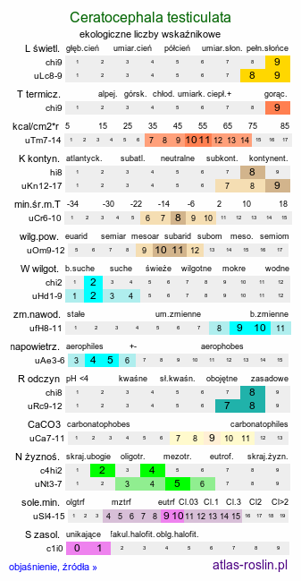 ekologiczne liczby wskaźnikowe Ceratocephala testiculata (jaskierek podolski)