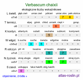 ekologiczne liczby wskaźnikowe Verbascum chaixii (dziewanna Chaixa)