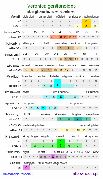 ekologiczne liczby wskaźnikowe Veronica gentianoides (przetacznik goryczkowy)