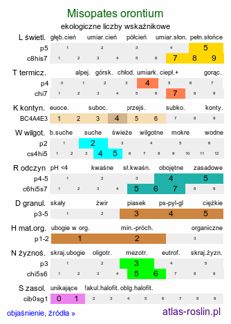 ekologiczne liczby wskaźnikowe Misopates orontium (wyżlin polny)