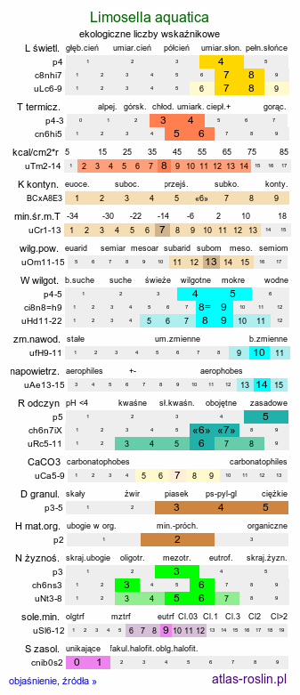 ekologiczne liczby wskaźnikowe Limosella aquatica (namulnik brzegowy)