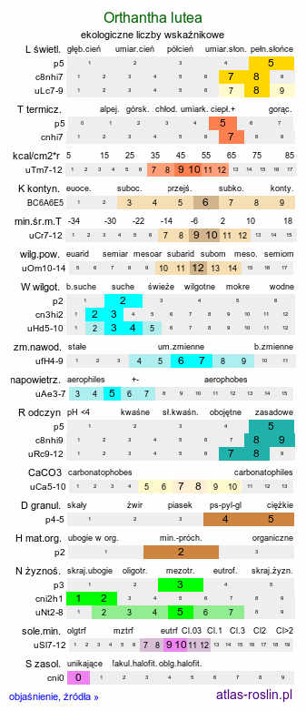 ekologiczne liczby wskaźnikowe Orthantha lutea (ortanta żółta)