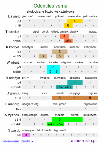 ekologiczne liczby wskaźnikowe Odontites verna (zagorzałek wiosenny)