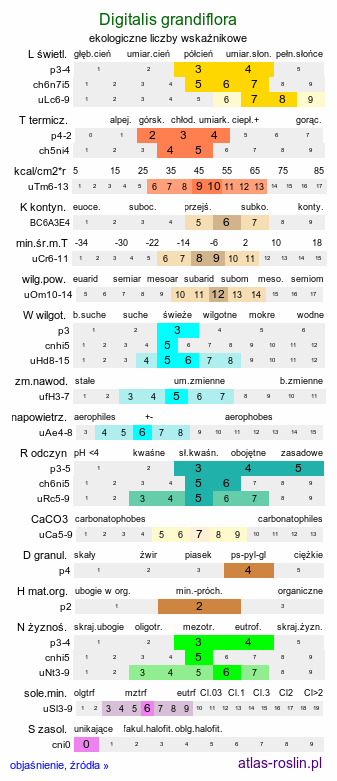 ekologiczne liczby wskaźnikowe Digitalis grandiflora (naparstnica zwyczajna)